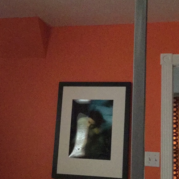 Meet your Posher, Carolyn - Picture 1 of 1